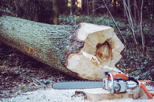 chainsaw