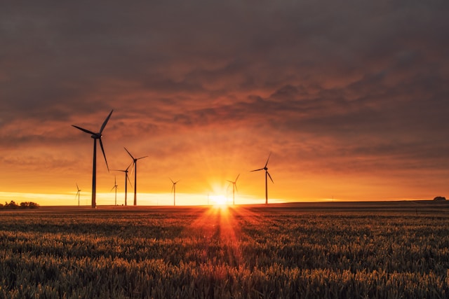 Stay Cool and Save Money: How to Reduce Summer Energy Bills
